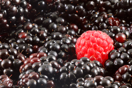 In a world full of Blackberries....