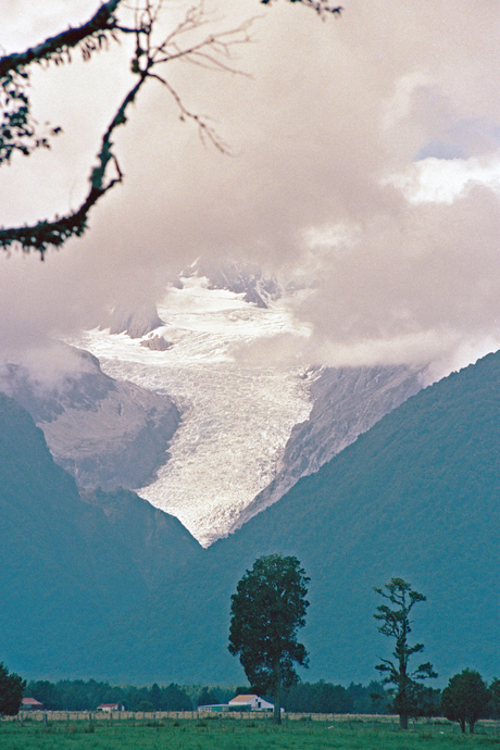 Fox Glacier, Nieuw Zeeland