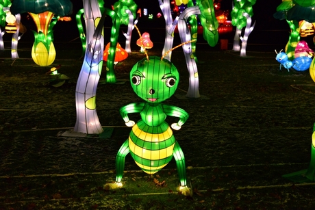 ChinaLight.JPG