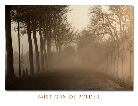 mist in de polder