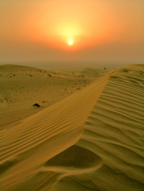 Desert Sunset