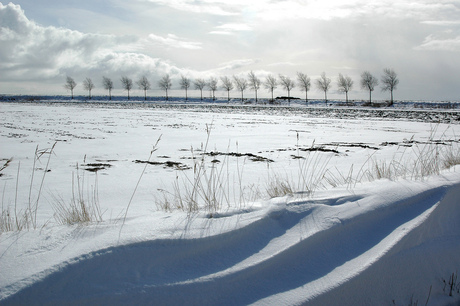 Winterlandschap