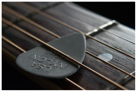 Plectrum