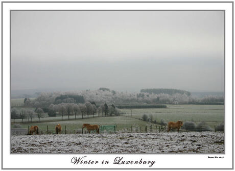 Winter in Luxemburg 4