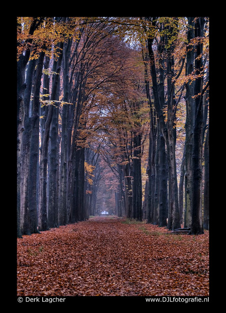 Laan Slangenburg staand