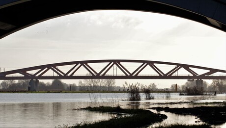 Hoog water bij de IJssel