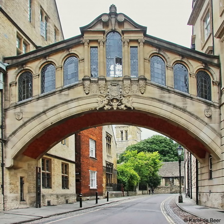 Oxford 20