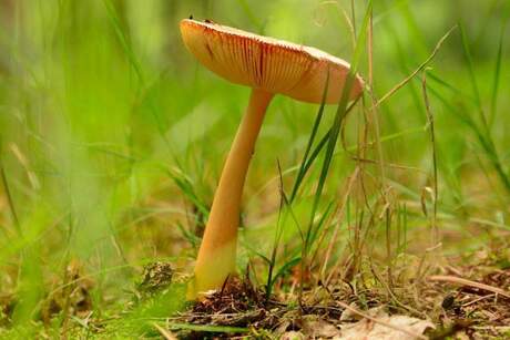 FB_IMG_1439054274123