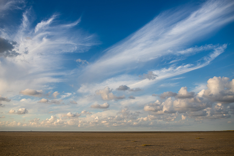 schiermonnikoog - karijn fotografie-4137