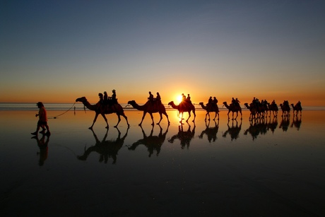 Zonsondergang en kamelen