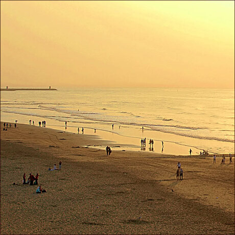 An evening at the beach