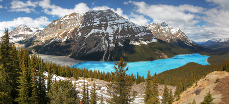 Peyto Lake