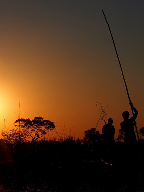 Okavango sunset 1.jpg