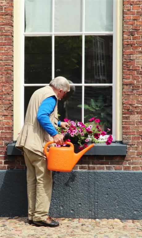 Aandacht voor de bloemen