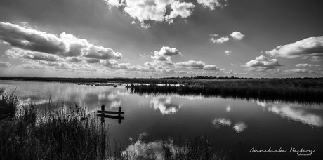 Wolken in het water...