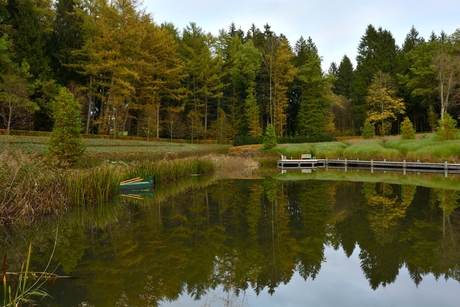 herfst spiegeling