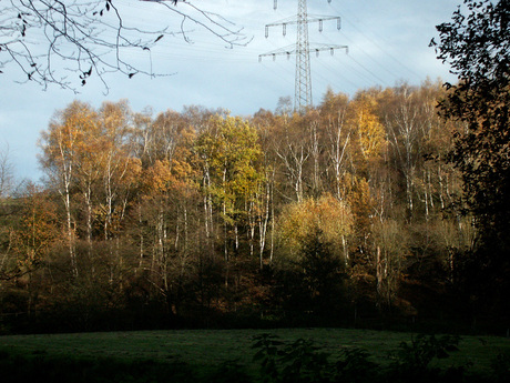 Herfstkleuren in het Wormtal