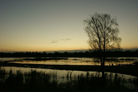 zon ondergang brabantse Biesbosch