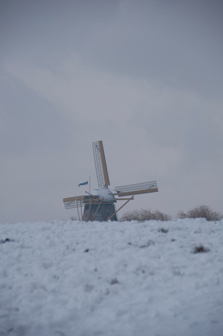 Molen de Vriendschap in Weesp