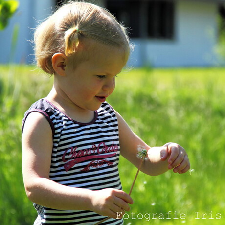 Every child is a flower!