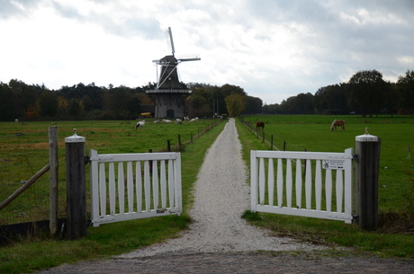 Molen de Star