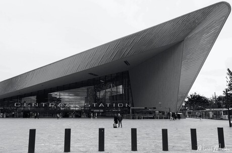 Station Rotterdam Central