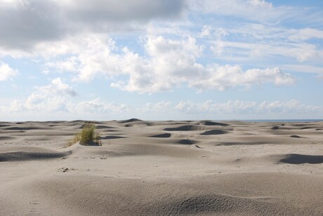 Ameland