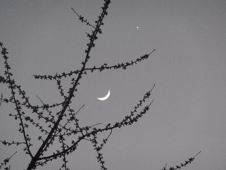maan en ster