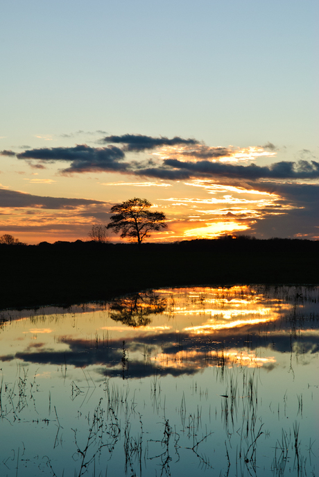 Wetlands Roden