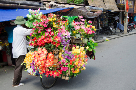 flowers