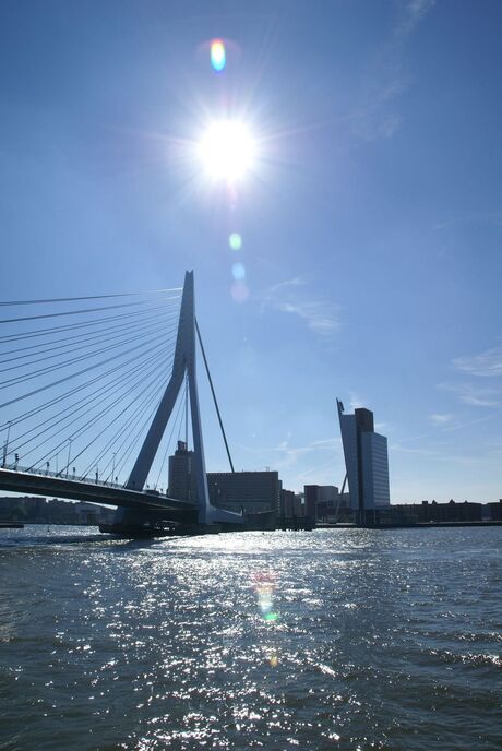 Rotterdam in de zon