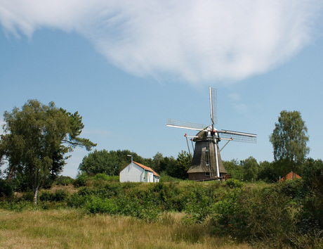 Molen bij Wapenveld