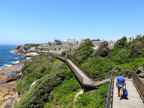 Bondi to Coogee walk