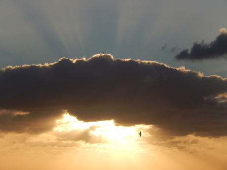 Dagje Den Haag 277.JPG