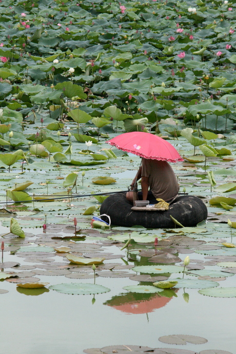 Fishing in Cambodja