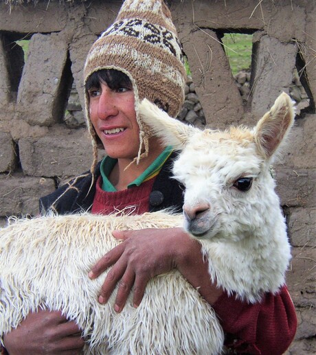 Peruaanse jongen met lama