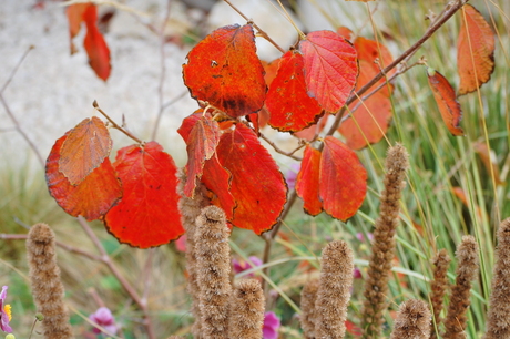 toch herfst