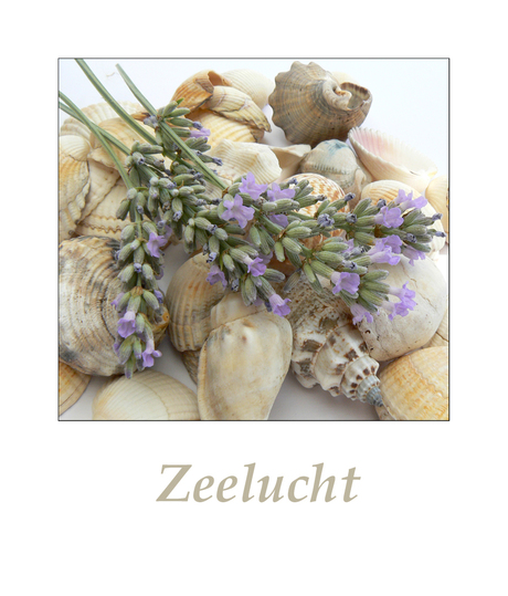 Zeelucht