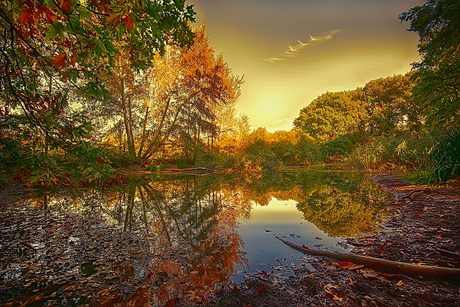 Autumn lake