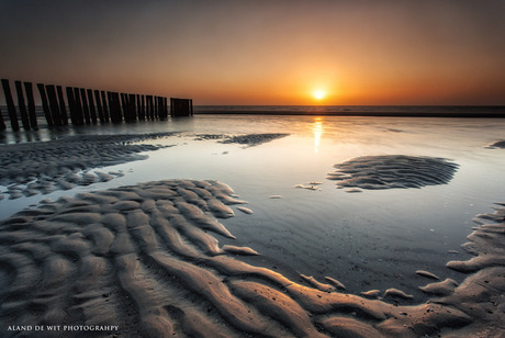 Poles and sunset