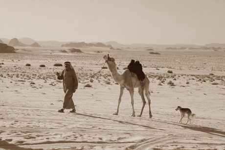 Wadi Rum