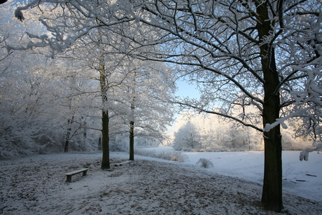 Winter Westerpark Zoetermeer