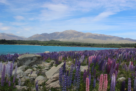 Lake Tepako