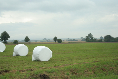 Typisch landschap nabij Rinteln