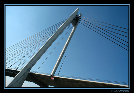 Spider bridge