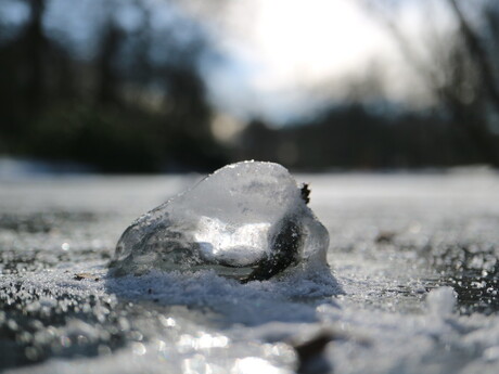 Ijsblokje vastgevroren in het ijs❄️