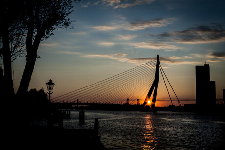 Goedemorgen Rotterdam!