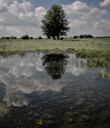 Weerspiegeling