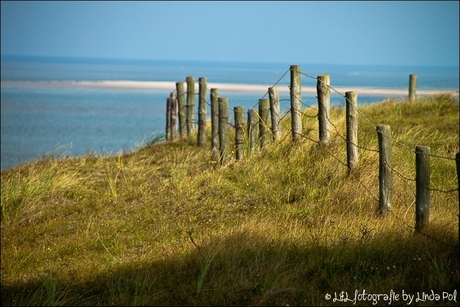 texel