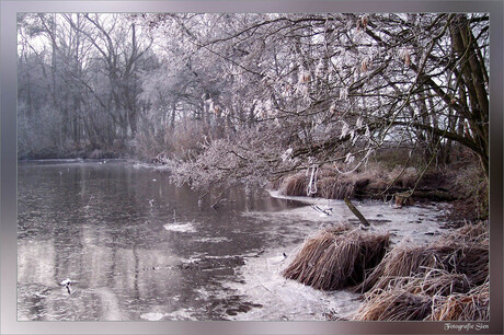 Wintersfeertje...